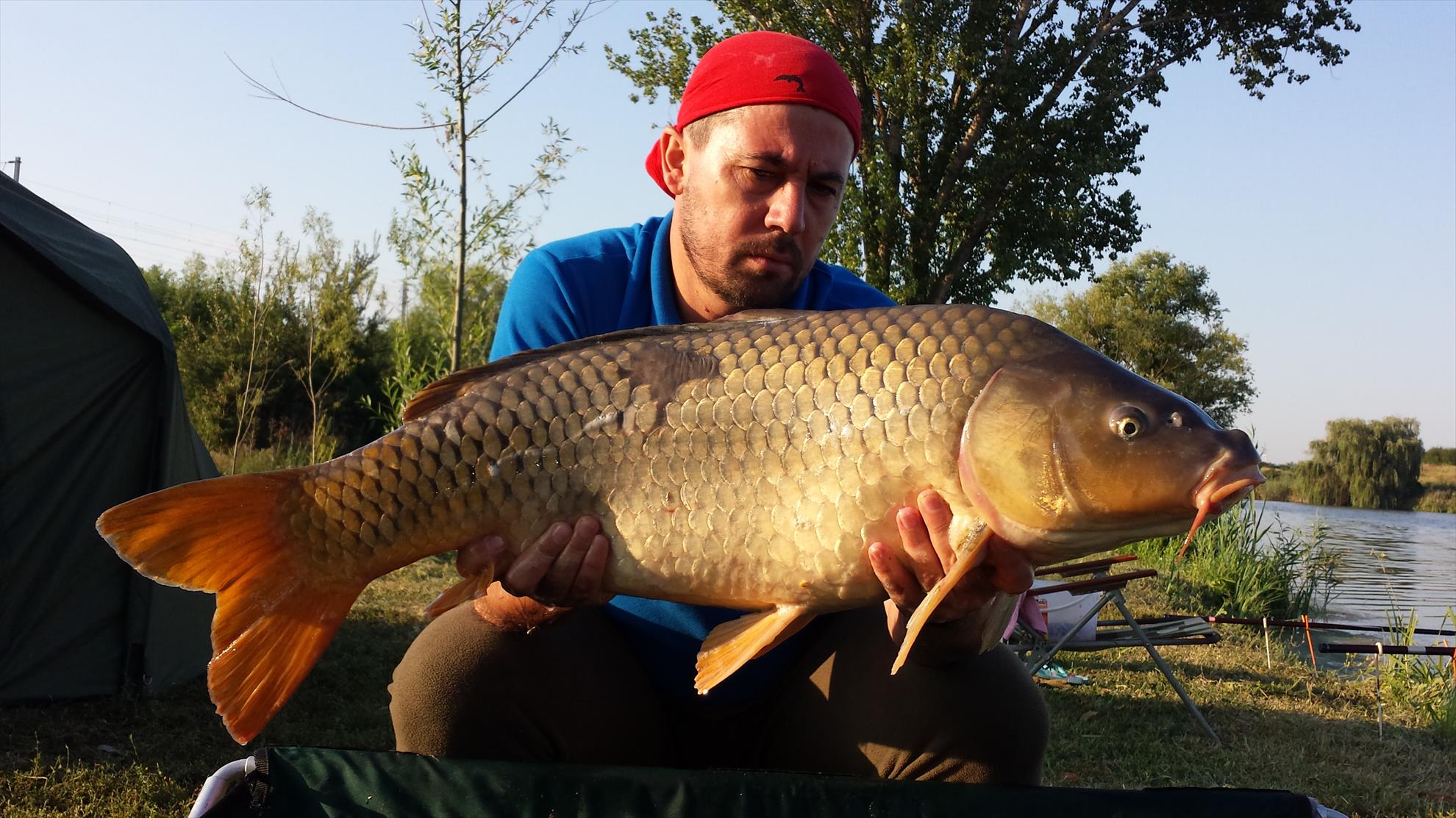 Hermes Peris 12 - 13 august 2015 - 20150813074928.jpg